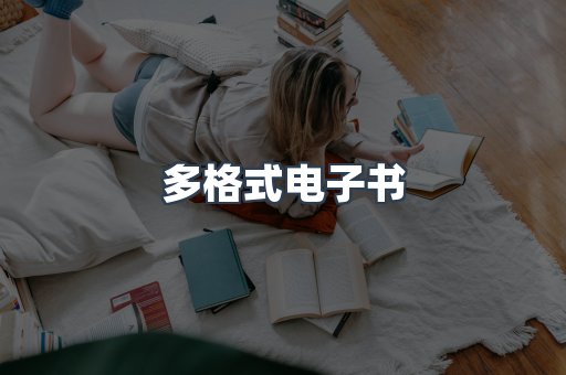 海外电子书